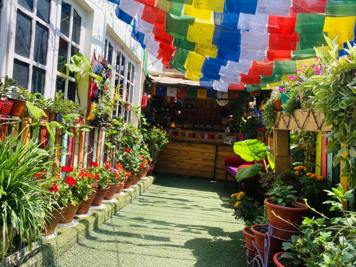 Yog Hostel Kathmandu Bagian luar foto
