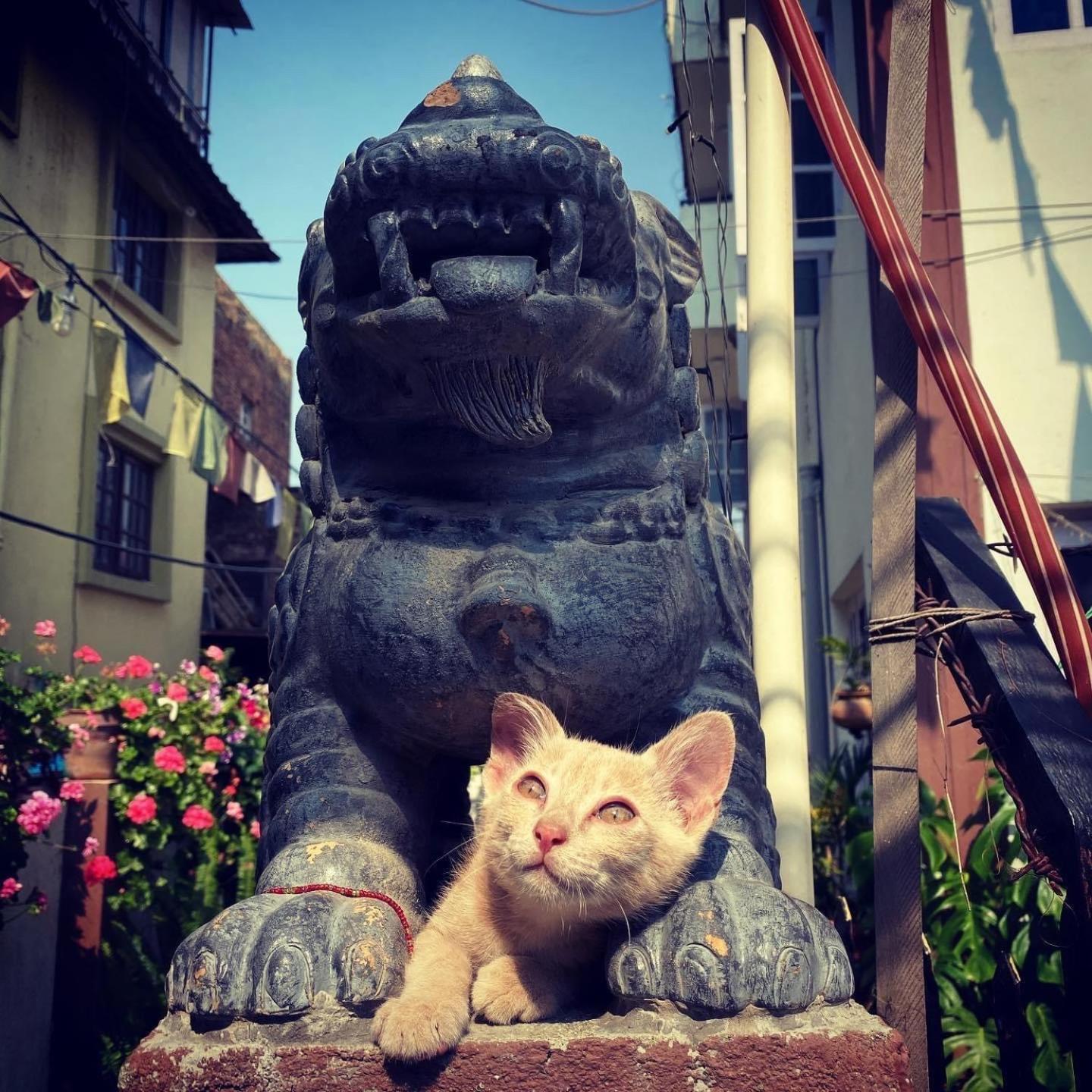 Yog Hostel Kathmandu Bagian luar foto